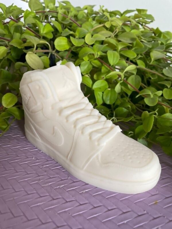 Nike Air Jordan schoen